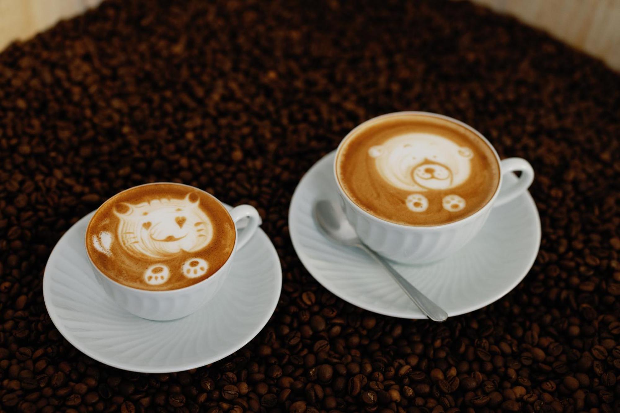 Palacio Do Visconde - The Coffee Experience Лиссабон Экстерьер фото
